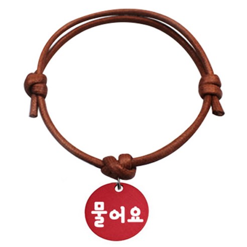 펫츠룩 굿모닝 카라멜 반려동물 목걸이 S 알미늄원형 팬던트 S, 레드(물어요), 1개