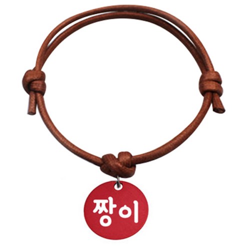 펫츠룩 굿모닝 카라멜 반려동물 목걸이 S 알미늄원형 팬던트 M, 레드(짱이), 1개