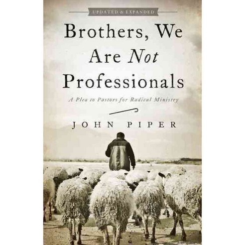 Brothers We Are Not Professionals: A Plea to Pastors for Radical Ministry, B & H Books