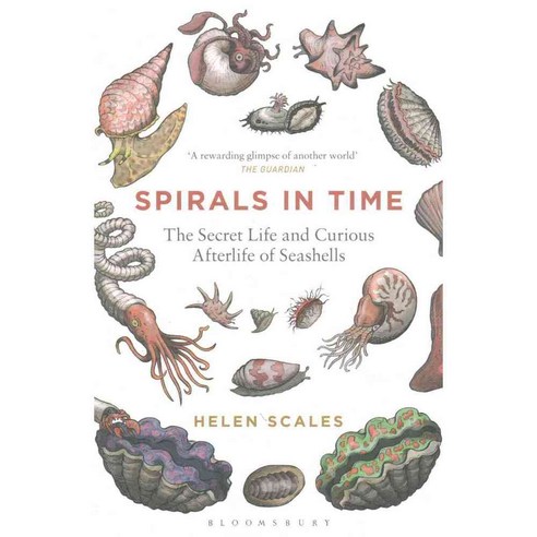 Spirals in Time: The Secret Life and Curious Afterlife of Seashells, Bloomsbury Sigma