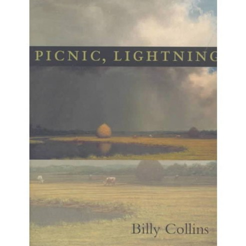 Picnic Lightning, Univ of Pittsburgh Pr
