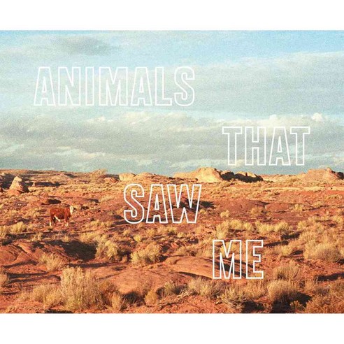 Animals That Saw Me, The Ice Plant