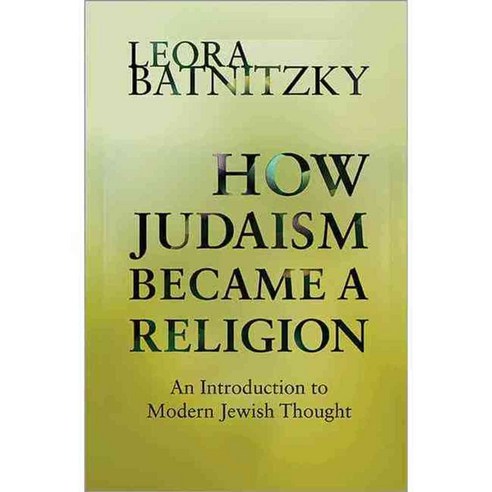 How Judaism Became a Religion: An Introduction to Modern Jewish Thought, Princeton Univ Pr