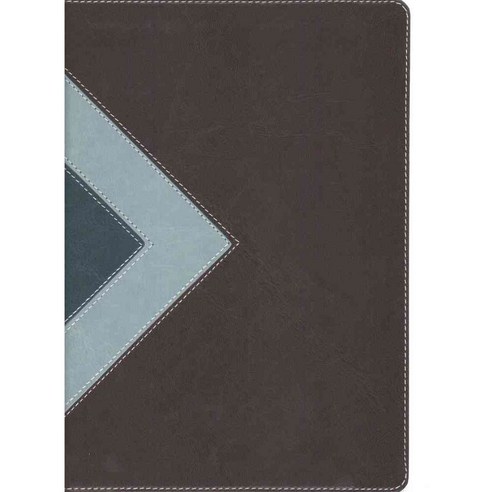 Illustrated Study Bible: New Living Translation Teal & Chocolate Edition, Tyndale House Pub