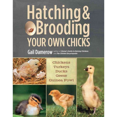 Hatching & Brooding Your Own Chicks: Chickens Turkeys Ducks Geese Guinea Fowl, Storey Books