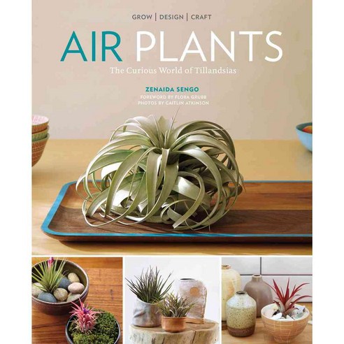 Air Plants: The Curious World of Tillandsias, Timber Pr
