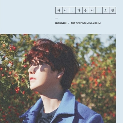 규현 - 다시 가을이 오면 미니 2집, 1CD