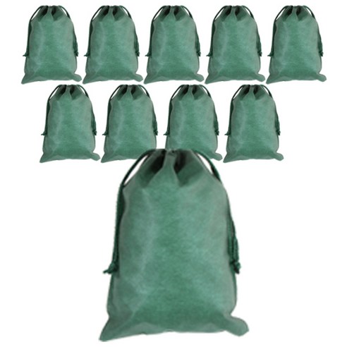 봄91 끈조리개 부직포백 20 x 28 cm, 그린, 10개입