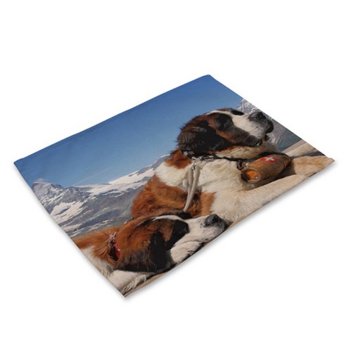 비케이 강아지 사진 식탁매트, 11, 가로 42cm x 세로 32cm