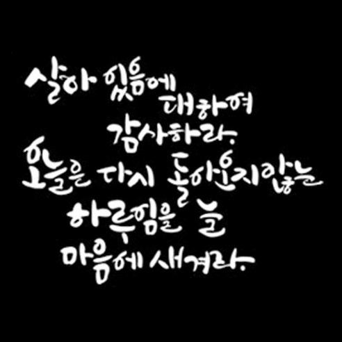 디자인엠 살아있음에 캘리그라피 포인트 스티커, 화이트