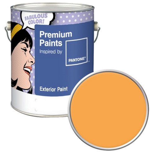 노루페인트 팬톤 외부용 실외 저광 페인트 4L, 14-0955 Citrus
