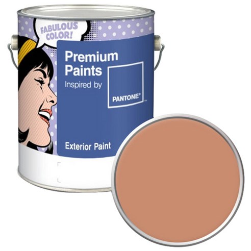 노루페인트 팬톤 외부용 실외 저광 페인트 4L, 16-1328 Sandstone