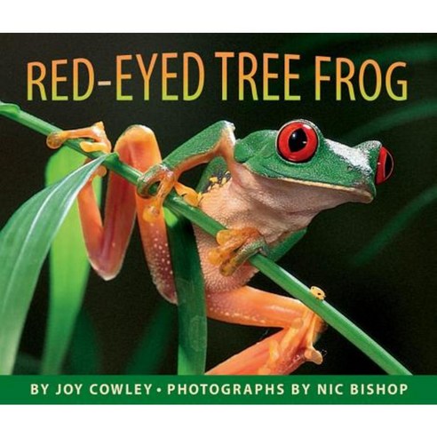 Red-Eyed Tree Frog Hardcover, Scholastic Press