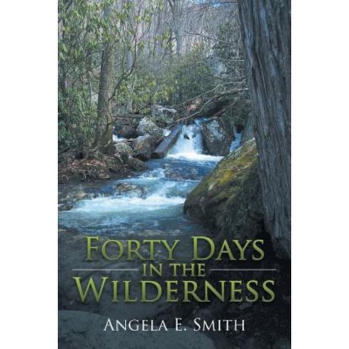 Forty Days in the Wilderness Paperback, iUniverse
