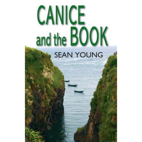Canice and the Book: Gripping Tale of Sixth Century Ireland Paperback, West Sunset Books