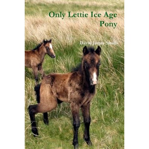 Only Lettie Ice Age Pony Paperback, Lulu.com