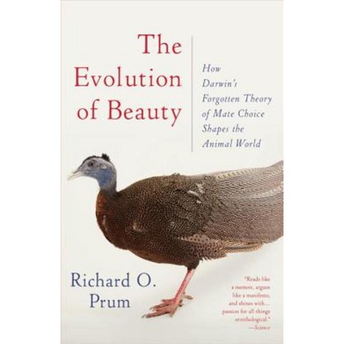 The Evolution of Beauty: How Darwin''s Forgotten Theory of Mate Choice Shapes the Animal World - And Us Paperback, Anchor Books