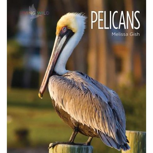 Pelicans Hardcover, Creative Education/Creative Paperbacks