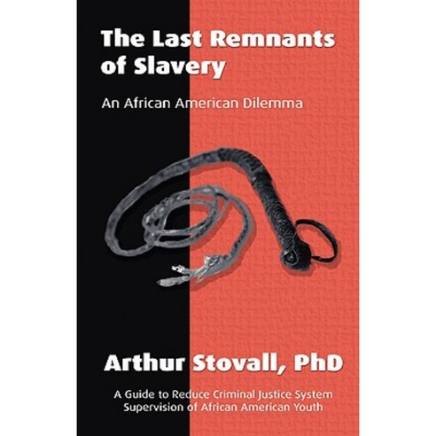 The Last Remnants of Slavery: An African American Dilemma Paperback, Trafford Publishing