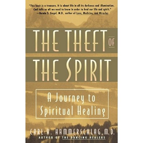 Theft of the Spirit: A Journey to Spiritual Healing Paperback, Touchstone Books