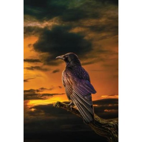 The Raven at Dawn Grid Notebook Paperback, Createspace Independent Publishing Platform