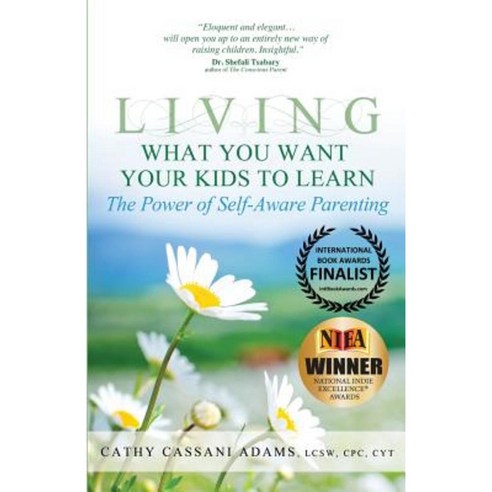 Living What You Want Your Kids to Learn: The Power of Self-Aware Parenting Paperback, Be U