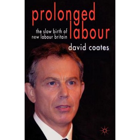 Prolonged Labour: The Slow Birth of New Labour Britain Paperback, Palgrave MacMillan