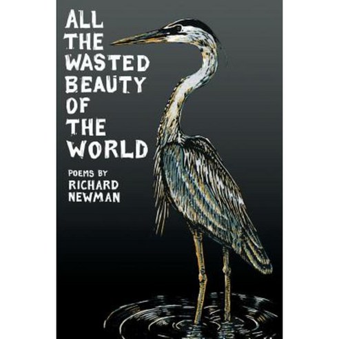 All the Wasted Beauty of the World Paperback, Able Muse Press
