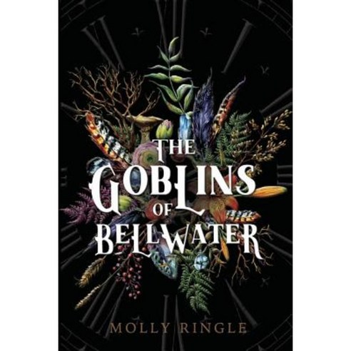 The Goblins of Bellwater Paperback, Central Avenue Publishing