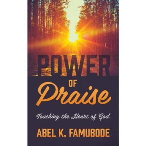 Power of Praise: Touching the Heart of God Paperback, Outskirts Press
