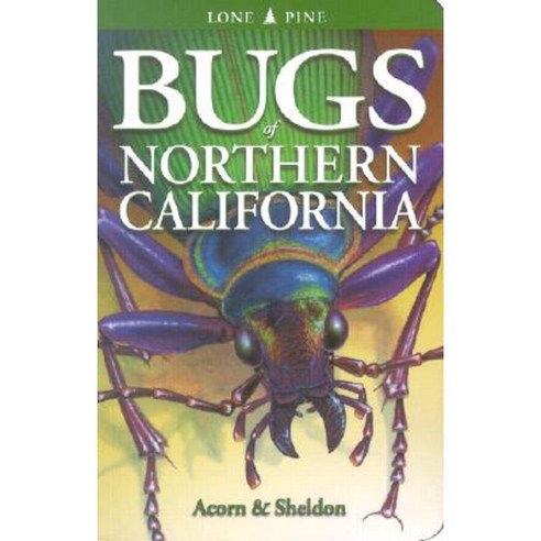 Bugs of Northern California Paperback, Lone Pine Publishing