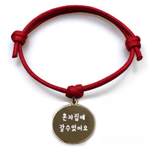 펫츠룩 굿모닝 레드 반려동물 목걸이 S + 메탈원형 팬던트 M, 골드(혼자집에갈수있어요), 1개