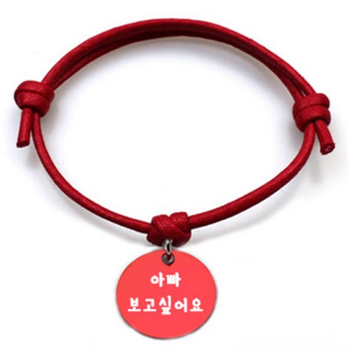 펫츠룩 반려동물 굿모닝 레드 목걸이 S + 알미늄 원형 팬던트 S, 레드(아빠 보고 싶어요), 1개