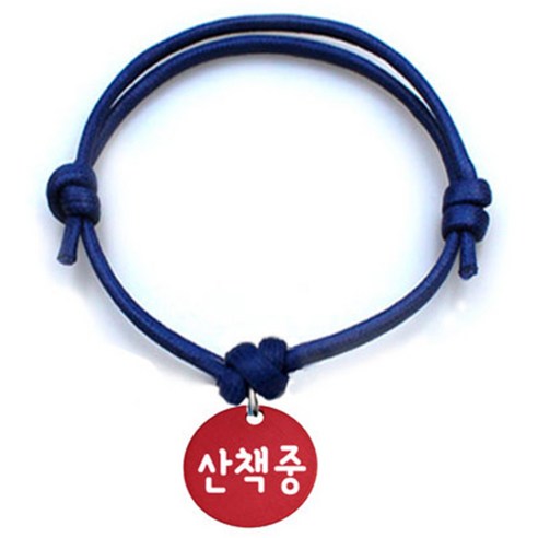 펫츠룩 굿모닝 블루 반려동물 목걸이 S + 알미늄원형 팬던트 M, 레드(산책중), 1개