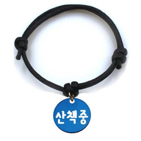 펫츠룩 굿모닝 블랙 반려동물 목걸이 S + 알미늄원형 팬던트 M, 블루(산책중), 1개