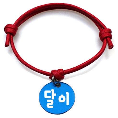 펫츠룩 굿모닝 레드 반려동물 목걸이 M + 알미늄원형 팬던트 S, 블루(달이), 1개
