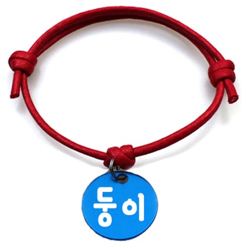 펫츠룩 굿모닝 레드 반려동물 목걸이 M + 알미늄원형 팬던트 S, 블루(둥이), 1개