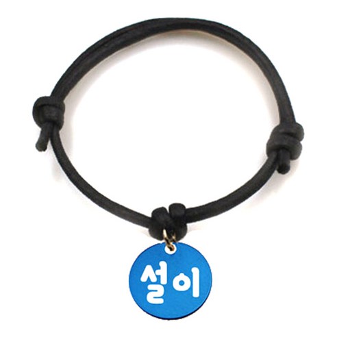 펫츠룩 굿모닝 블랙 반려동물 목걸이 S + 알미늄원형 팬던트 S, 블루(설이), 1개