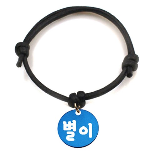 펫츠룩 굿모닝 블랙 반려동물 목걸이 S + 알미늄원형 팬던트 S, 블루(별이), 1개