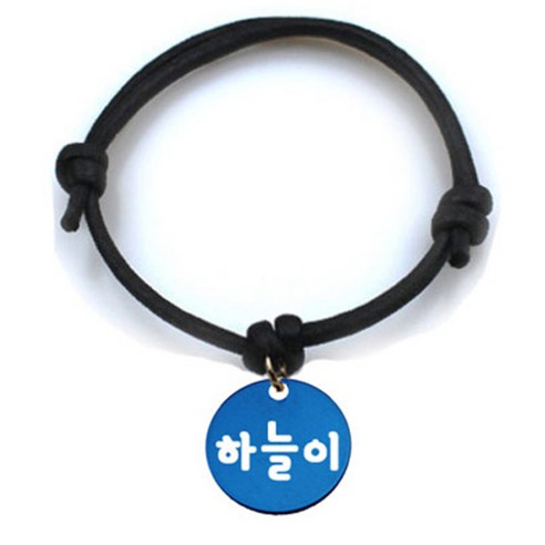 펫츠룩 굿모닝 블랙 반려동물 목걸이 S + 알미늄원형 팬던트 M, 블루(하늘이), 1개