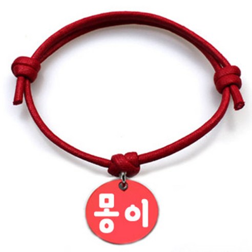 펫츠룩 굿모닝 레드 반려동물 목걸이 M + 알미늄 원형 팬던트 S, 레드(몽이), 1개
