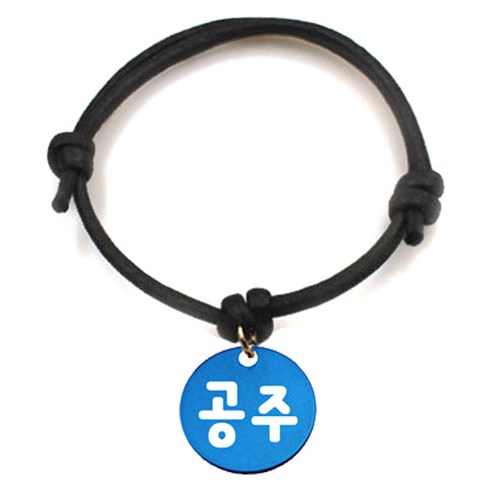 펫츠룩 굿모닝 블랙 반려동물 목걸이 S + 알미늄원형 팬던트 S, 블루(공주), 1개