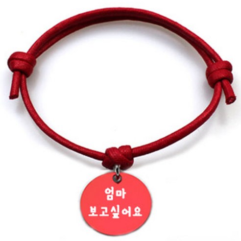 펫츠룩 굿모닝 레드 반려동물 목걸이 M + 알미늄원형 팬던트 M, 레드(엄마보고싶어요), 1개