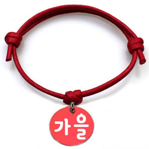 펫츠룩 굿모닝 레드 반려동물 목걸이 M + 알미늄원형 팬던트 M, 레드(가을), 1개