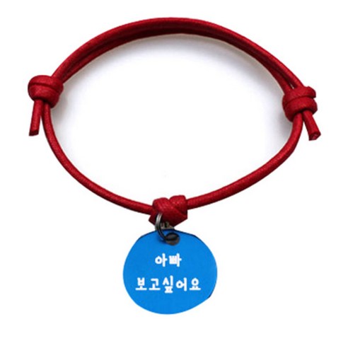 펫츠룩 굿모닝 레드 반려동물 목걸이 M + 알미늄원형 팬던트 M, 블루(아빠보고싶어요), 1개