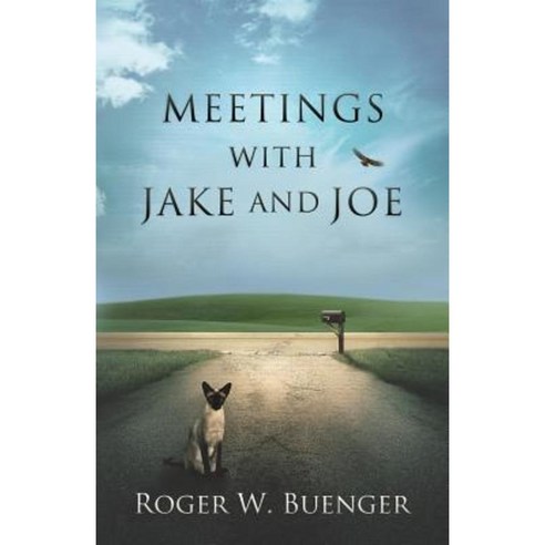 Meetings with Jake and Joe Paperback, 3rb Enterprises, LLC
