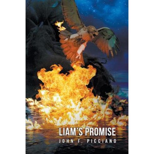 Liam''s Promise Paperback, Page Publishing, Inc.