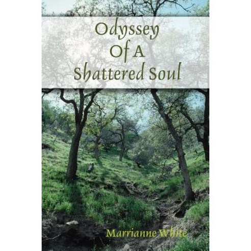 Odyssey of a Shattered Soul Paperback, Lulu.com