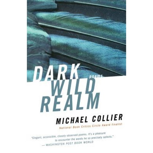 Dark Wild Realm Paperback, Mariner Books