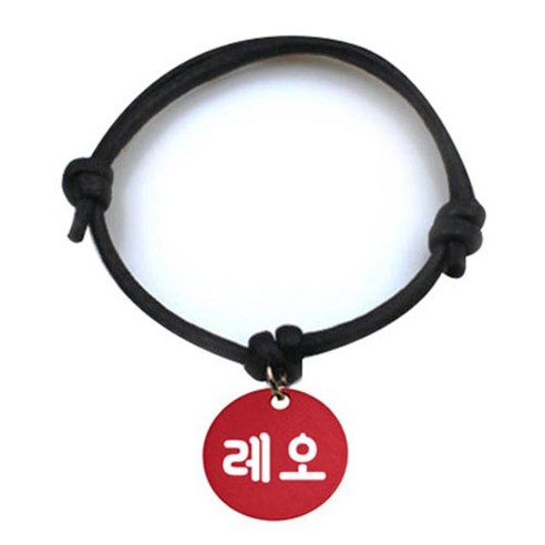 펫츠룩 굿모닝 블랙 반려동물 목걸이 M + 알미늄원형 팬던트 M, 레드(레오), 1개